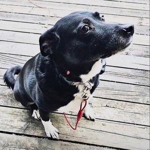 Meet your Posher, Ava